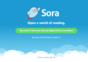 Sora App